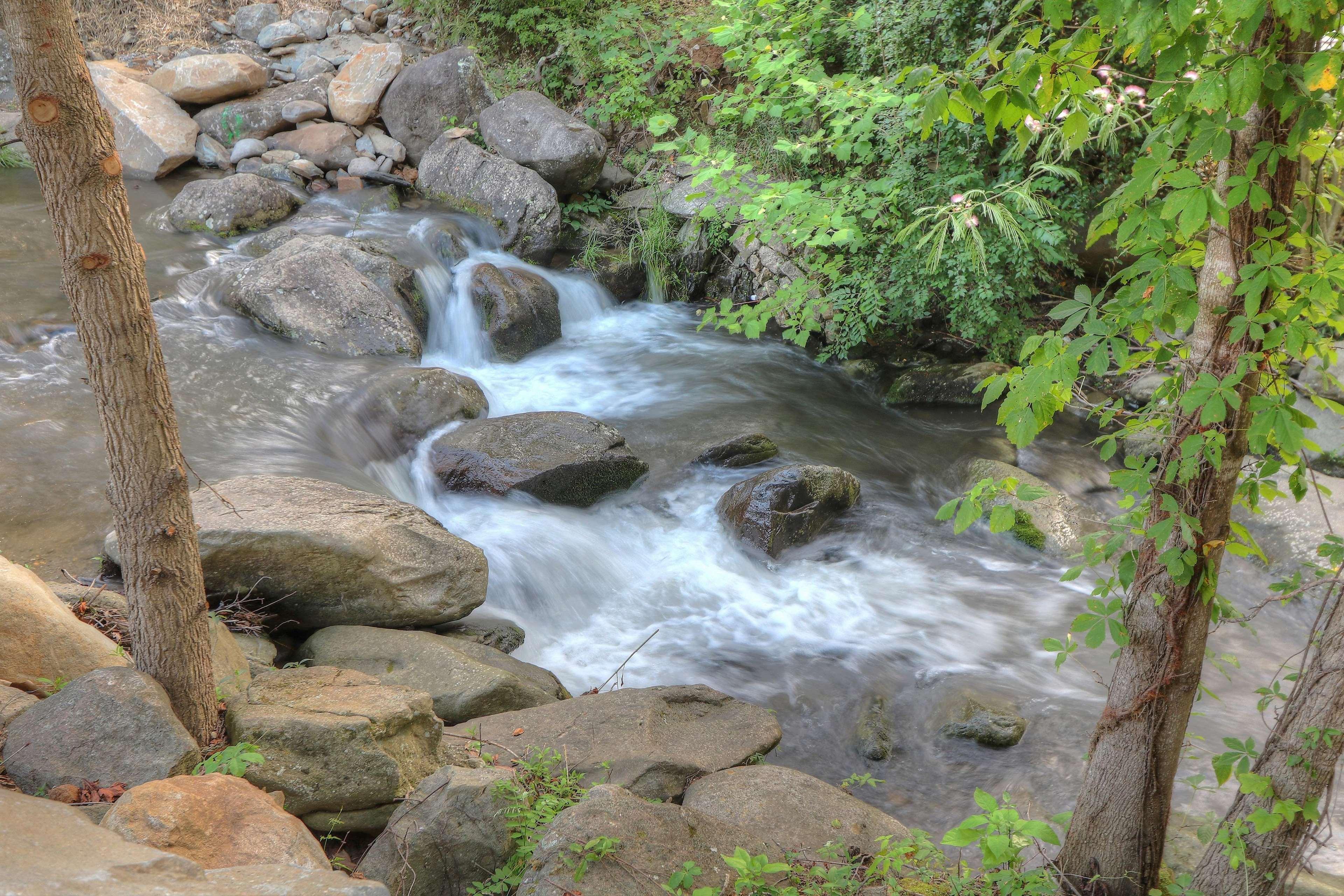 Hampton Inn Gatlinburg Historic Nature Trail, Tn Екстериор снимка